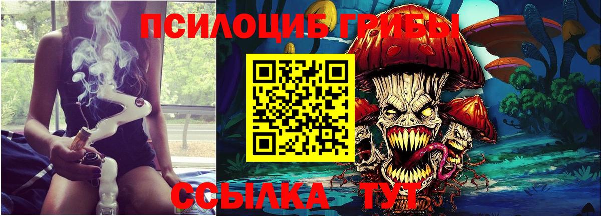 Губаха  цена   Вход с VPN  Галлюциногенные грибы Psilocybine cubensis 