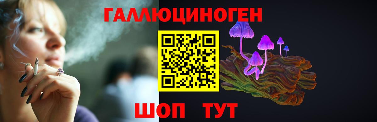 Псилоцибиновые грибы MAGIC MUSHROOMS Губаха